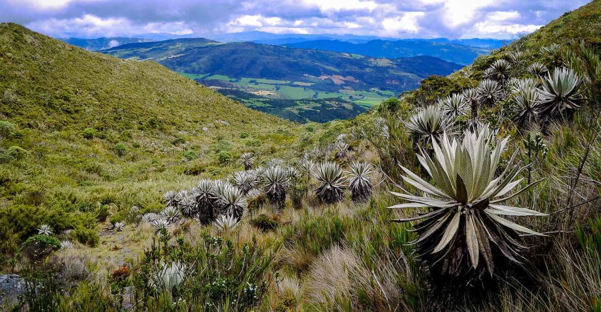 From Bogotá: Chingaza National Park Eco Tour