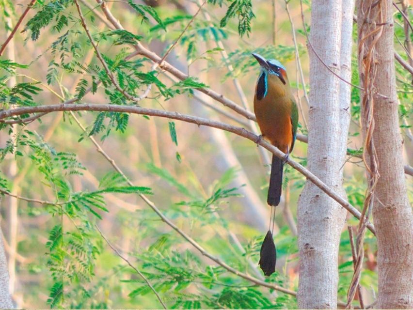 From Campeche: Xtampak, Hopelchén and Tohcok Tour - Tour Overview