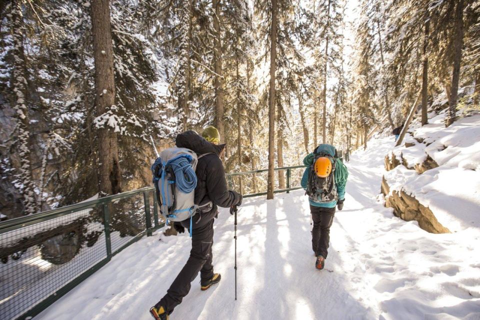 From Canmore/Banff: Lake Louise and Johnston Canyon Tour