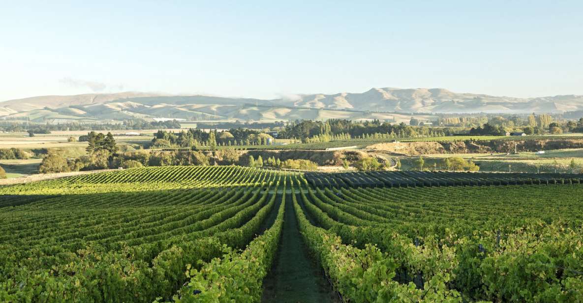 From Christchurch: Guided Local Wine Tours in Waipara - Tour Pricing and Inclusions