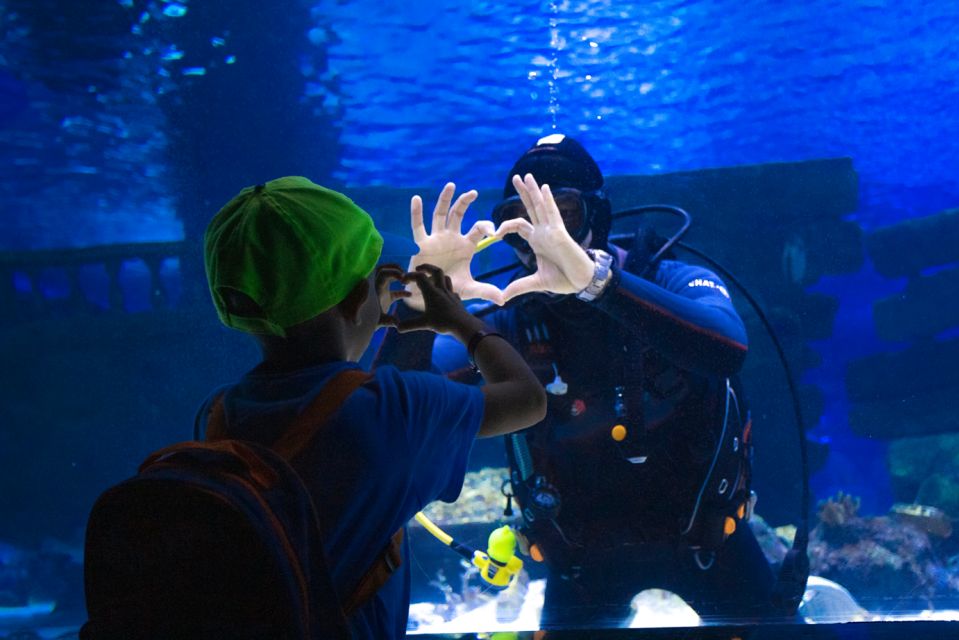 From City of Side: Antalya Aquarium Tour, Ticket & Transfer