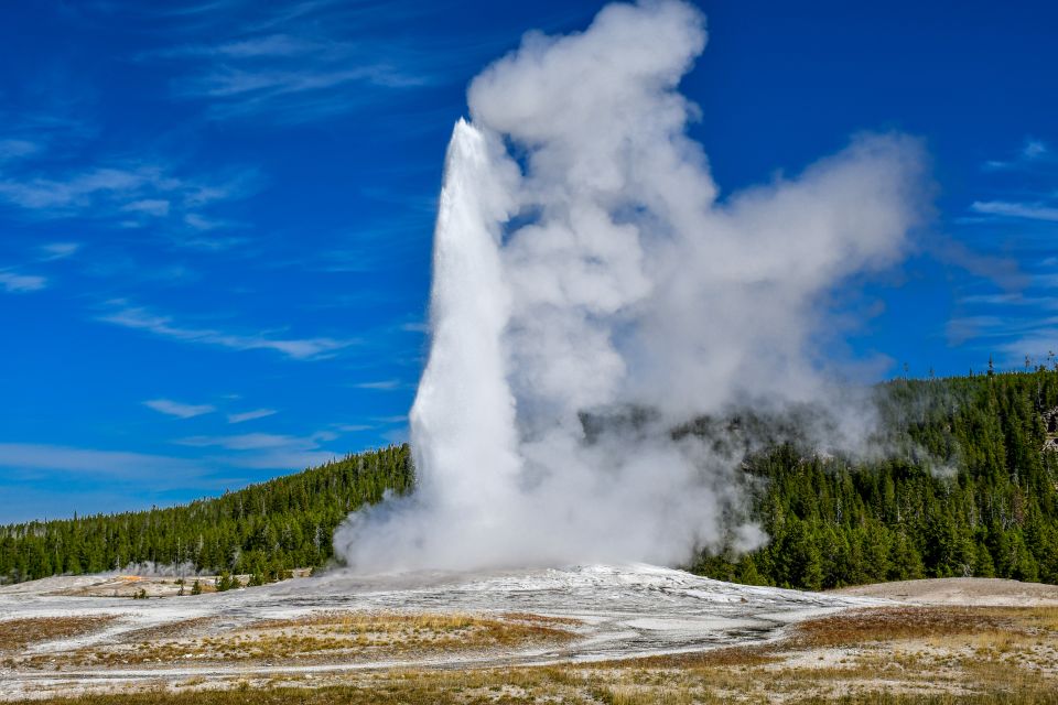 From Cody: Full-Day Yellowstone National Park Tour