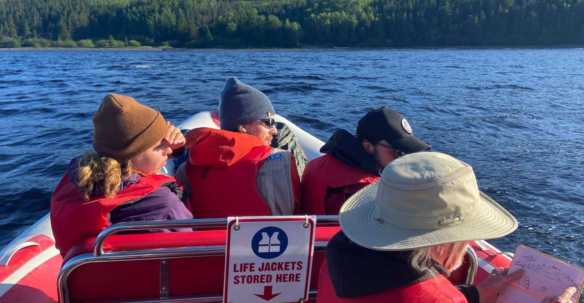 From Corner Brook : Bay Of Islands Island Zodiac Boat Tour