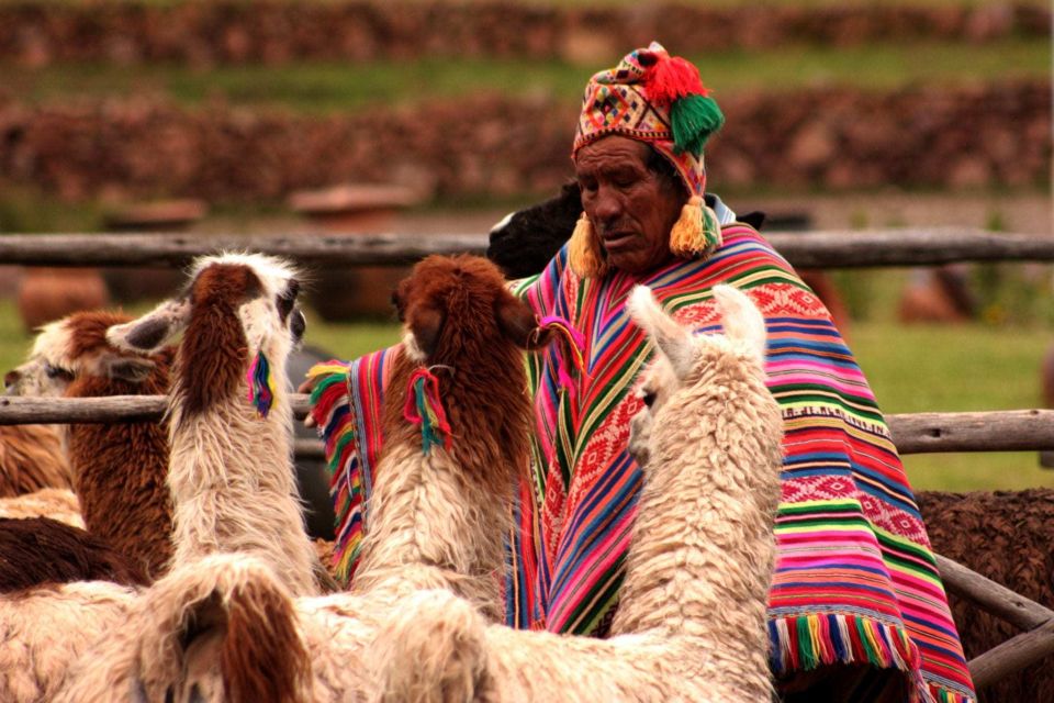 From Cusco: 6-Day Machu Picchu and Cusco Tour