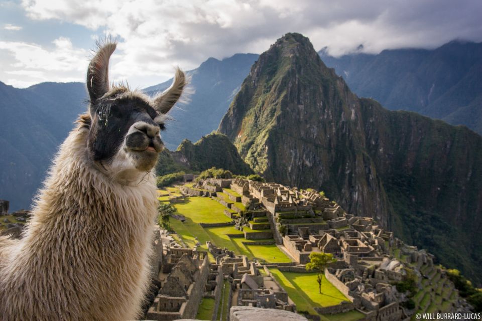 From Cusco: City Tour Cusco and Machu Picchu 3-Day Tour