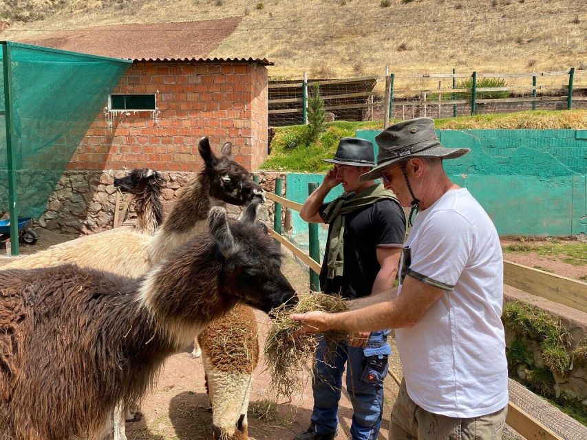 From Cusco: Cusco Machu Picchu Luxury Tour