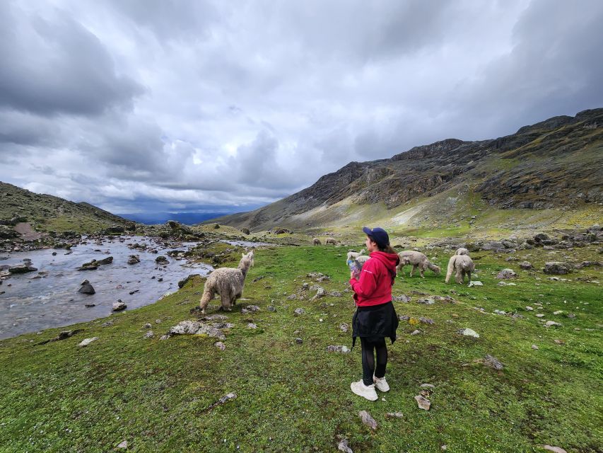 From Cusco: Full Day Tour to the 7 Lagoons of Ausangate - Tour Overview