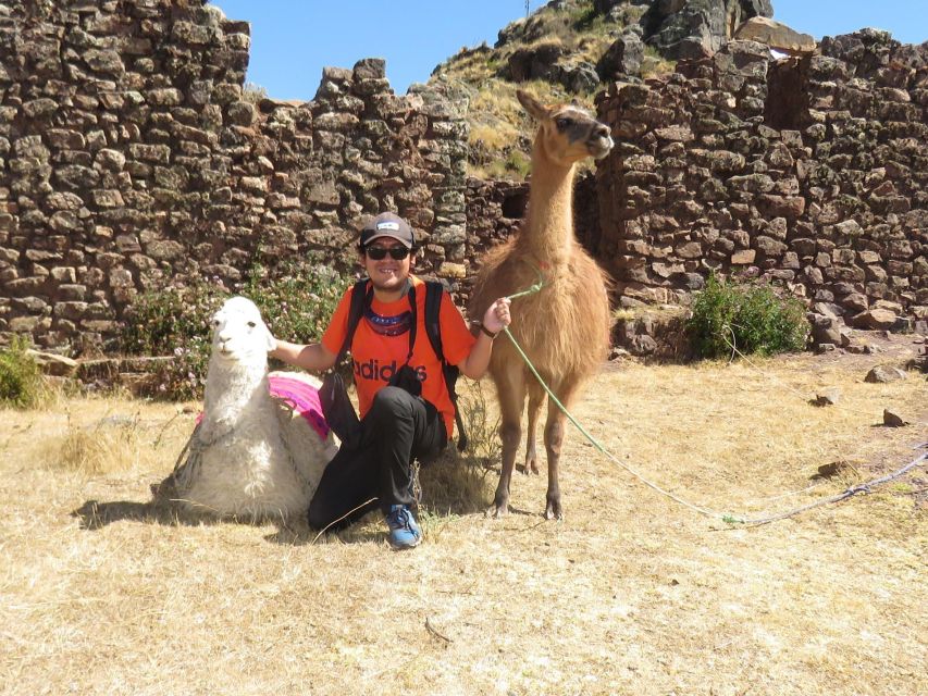 From Cusco: Llama Trekking - Activity Overview