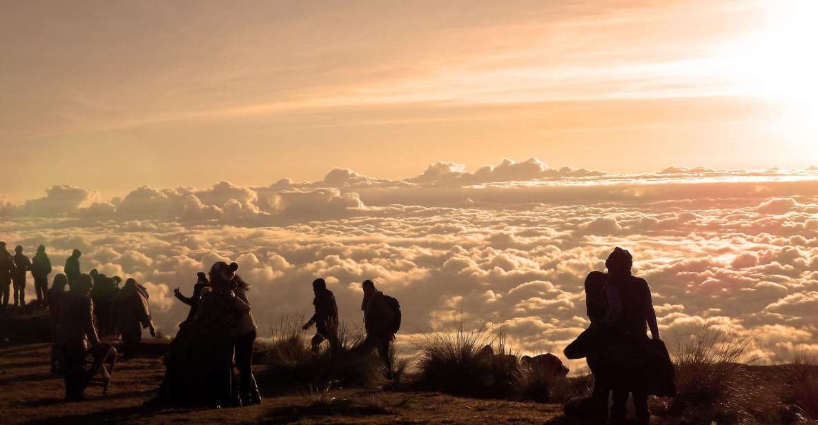 From Cusco: Manu Biosphere Peru 6 Days