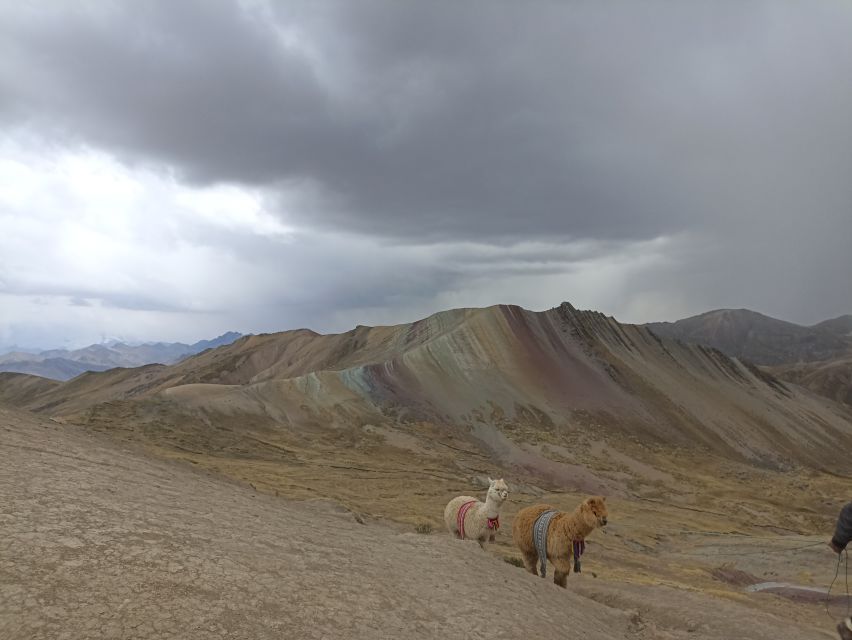 From Cusco: Palccoyo Rainbow Mountain Guided Tour