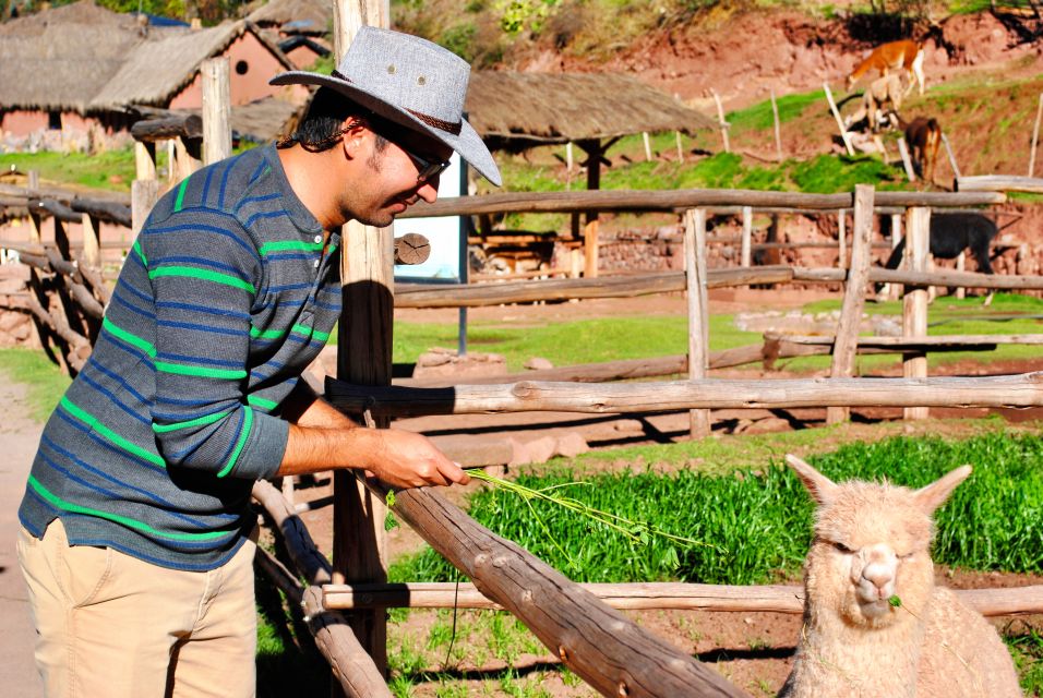 From Cusco: Private Pisac Ruins and Alpaca Farm Day Trip