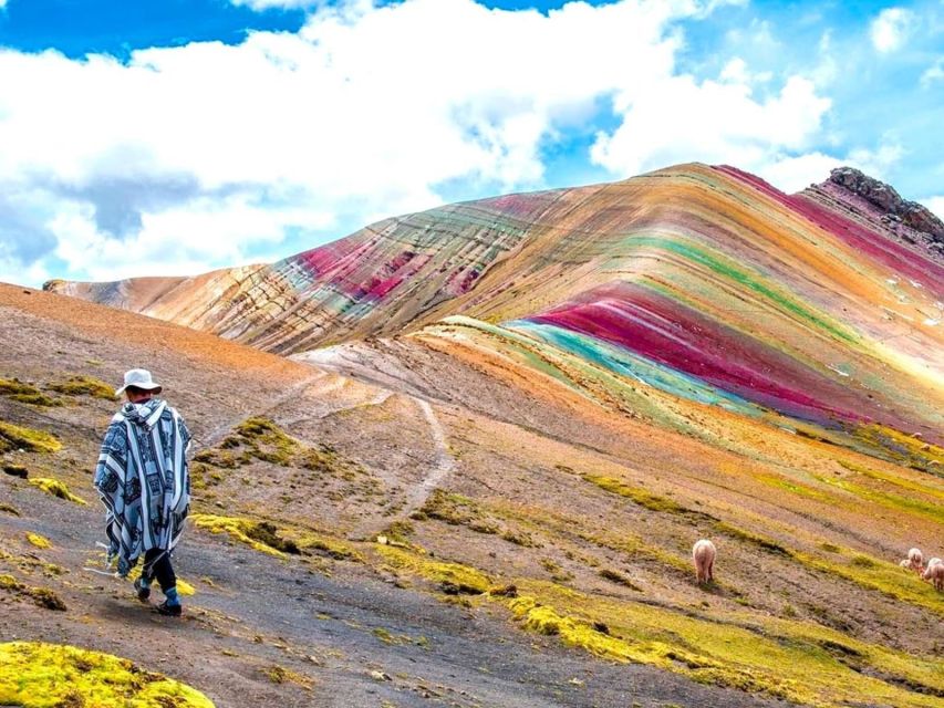 From Cusco | Private Service Palccoyo Mountain+Forest Stones