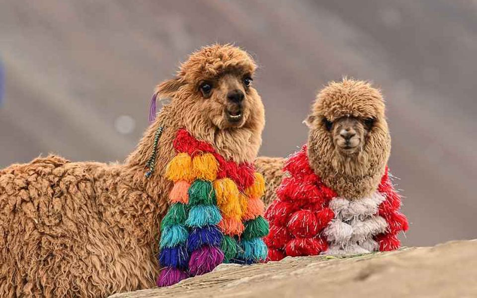 From Cusco | Vinicunca – Rainbow Mountain Private Tour