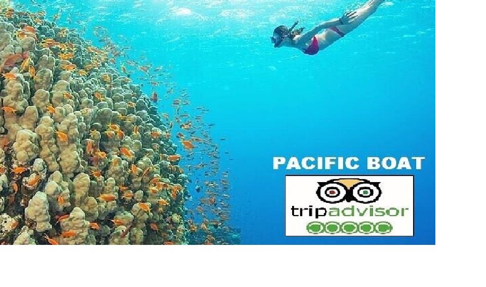 From Da Nang: Snorkeling & Island Hopping Tour by Speedboat