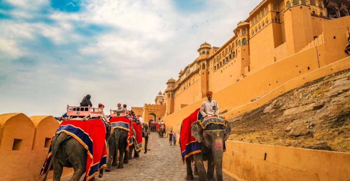 From Delhi: Private Jaipur Guided, City Tour With Options