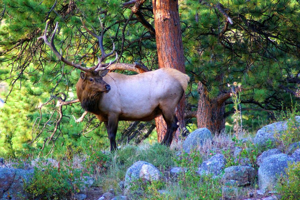 From Denver: Hike the Rockies Tour