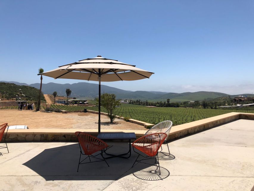 From Ensenada: Wine Tasting at Guadalupe Valley Ensenada - Highlights