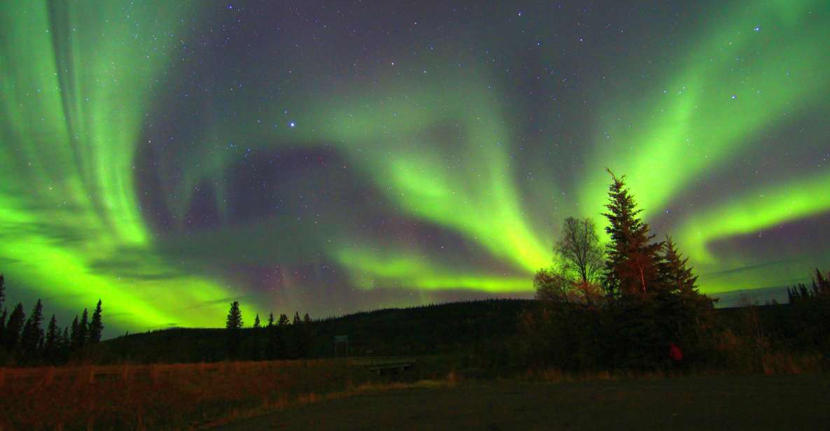 From Fairbanks: Northern Lights & Murphy Dome Tour