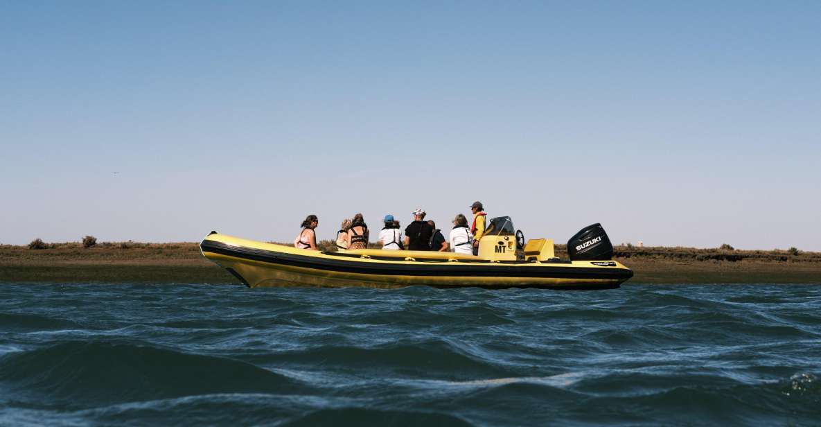 From Faro: Ria Formosa Eco Tour Guided by Marine Biologist