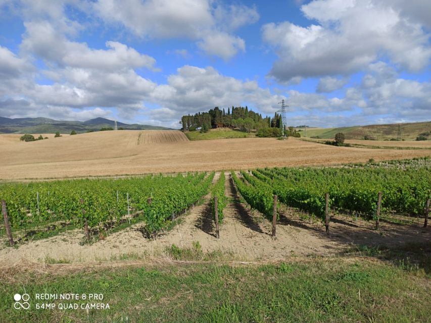 From Florence: Chianti Afternoon Tour & Visit to 2 Wineries - Chianti Hills Photo Stops