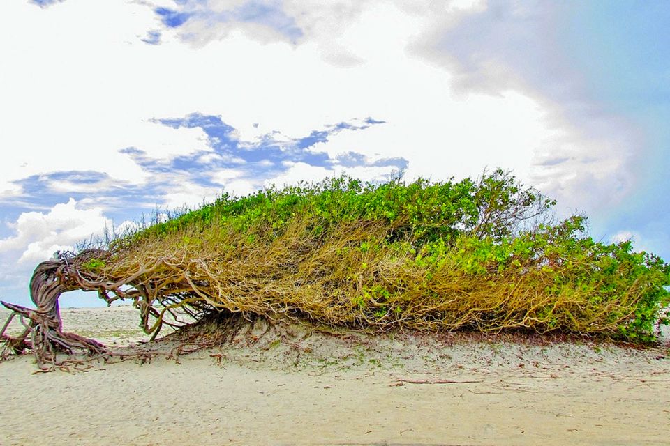 From Fortaleza: Day Trip to Jericoacoara