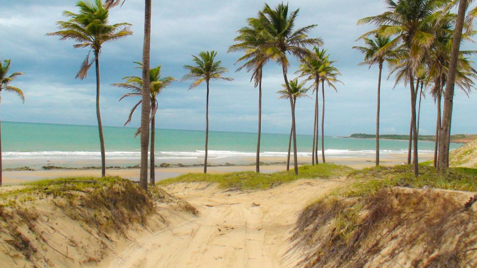 From Fortaleza: Lagoinha Beach Day Trip