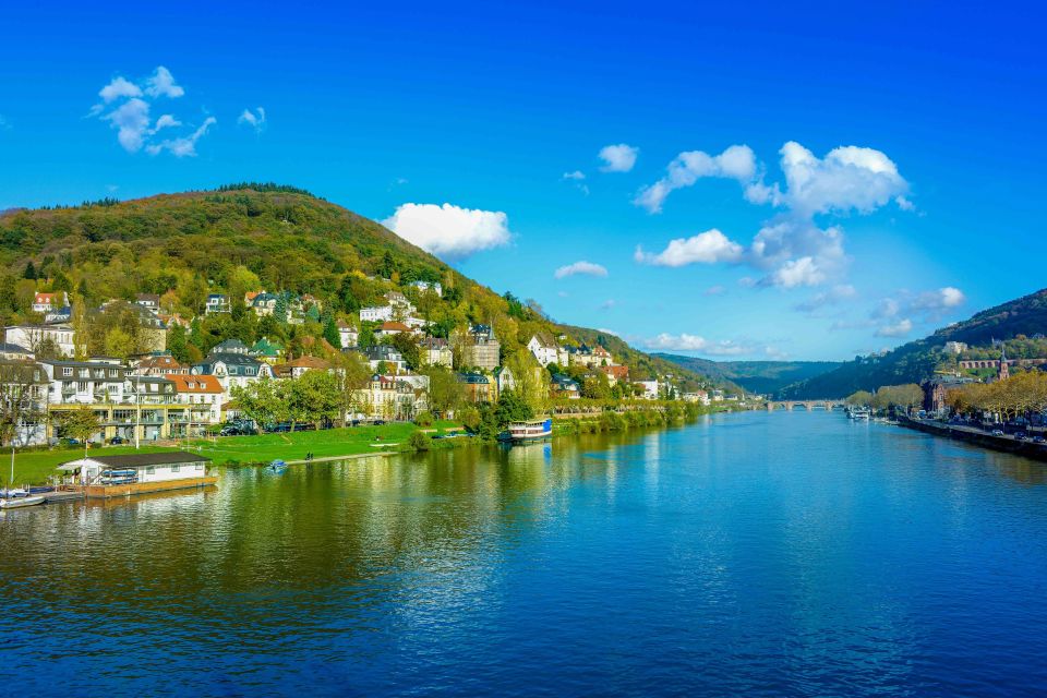 From Frankfurt: Rhine Valley Day Trip