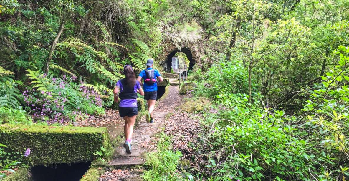 From Funchal: Folhadal Trail Running Tour (Moderate)