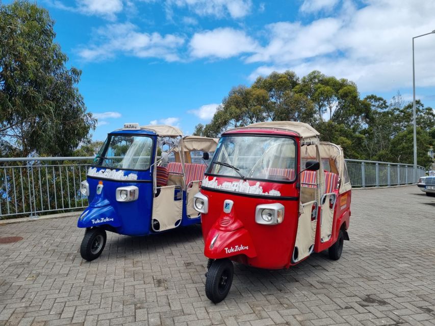 From Funchal: Tuk Tuk Tour to Camara De Lobos and Cabo Girao