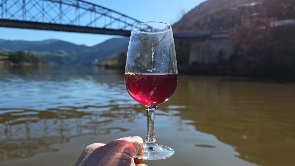 From Gaia Douro Valley Tour Wine Tasting River Cruise Lunch