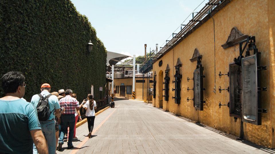 From Guadalajara: Pyramids & Jose Cuervo Tequila Tour - Exploring Guachimontones Pyramid Complex