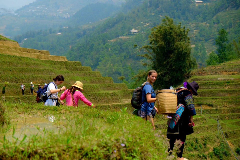 From Hanoi: 2-Day Sapa, Fansipan, and Muong Hoa Valley Tour