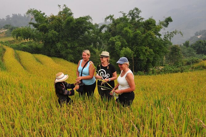 From Hanoi : Sapa Moutain Trek - Halong Bay Heritage - Halong Bay Highlights