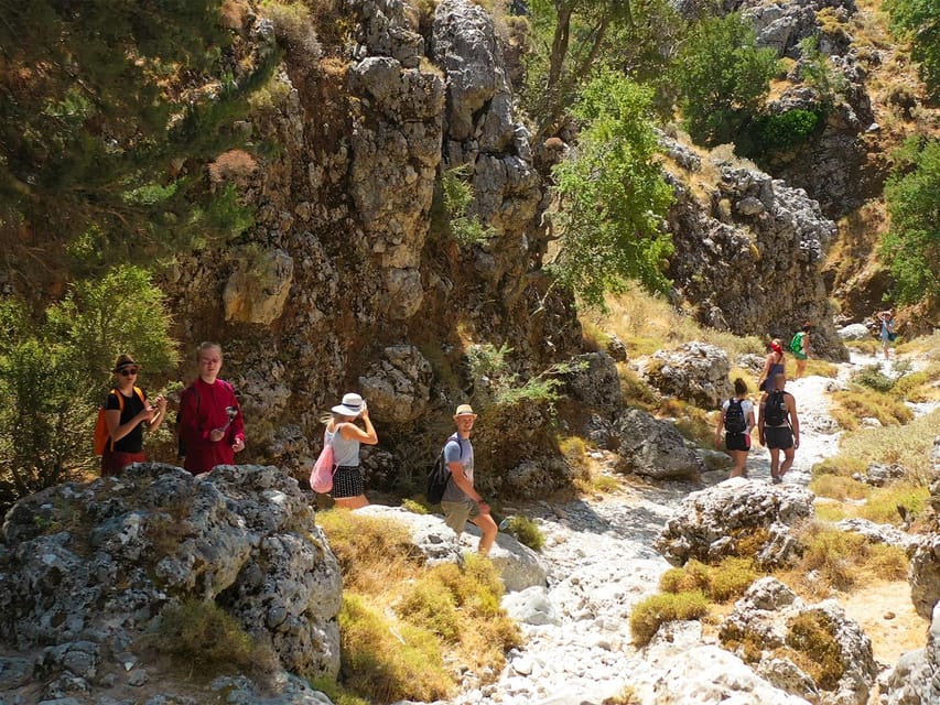 From Heraklion: Imbros Gorge Hike and Sfakia Private Tour