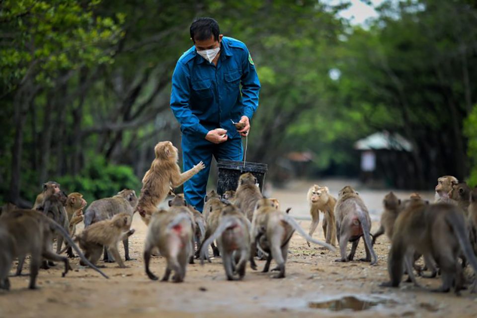 From Ho Chi Minh City: Can Gio Mangrove Guided Forest Tour