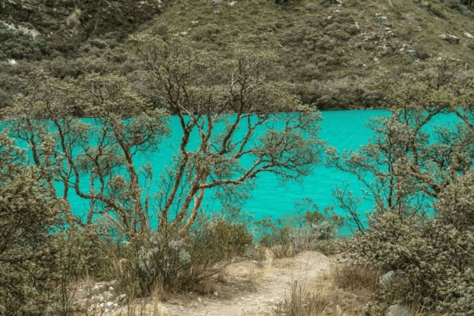 From Huaraz: Tour to Llanganuco Lakes (Chinancocha Lake)