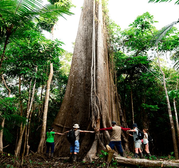 From Iquitos: Full Day Pacaya Samiria