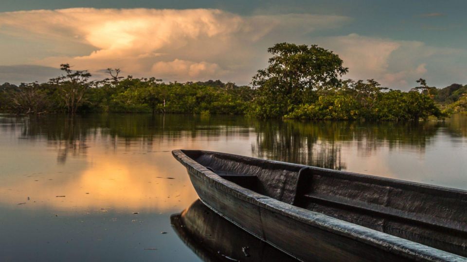 From Iquitos: Full Day Wonderful Wildlife