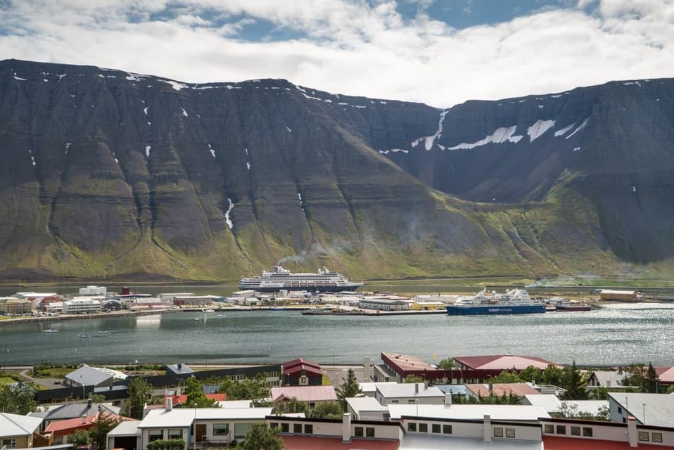 From Ísafjörður Port: Private Ísafjörður Tour