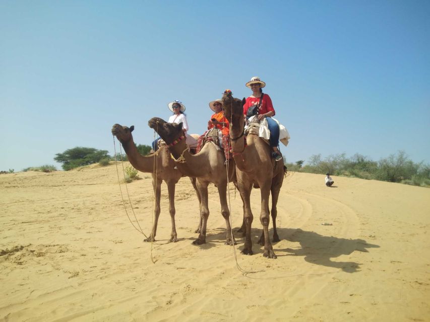 From Jodhpur: Guided Day Trip to Osian With Camel Safari