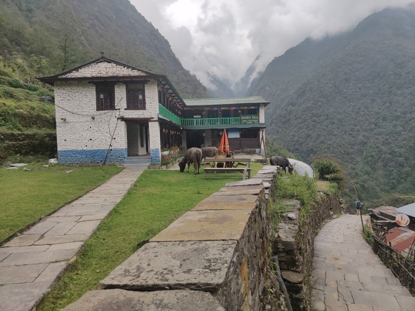 From Kathmandu: 7-Day Annapurna Basecamp Trek