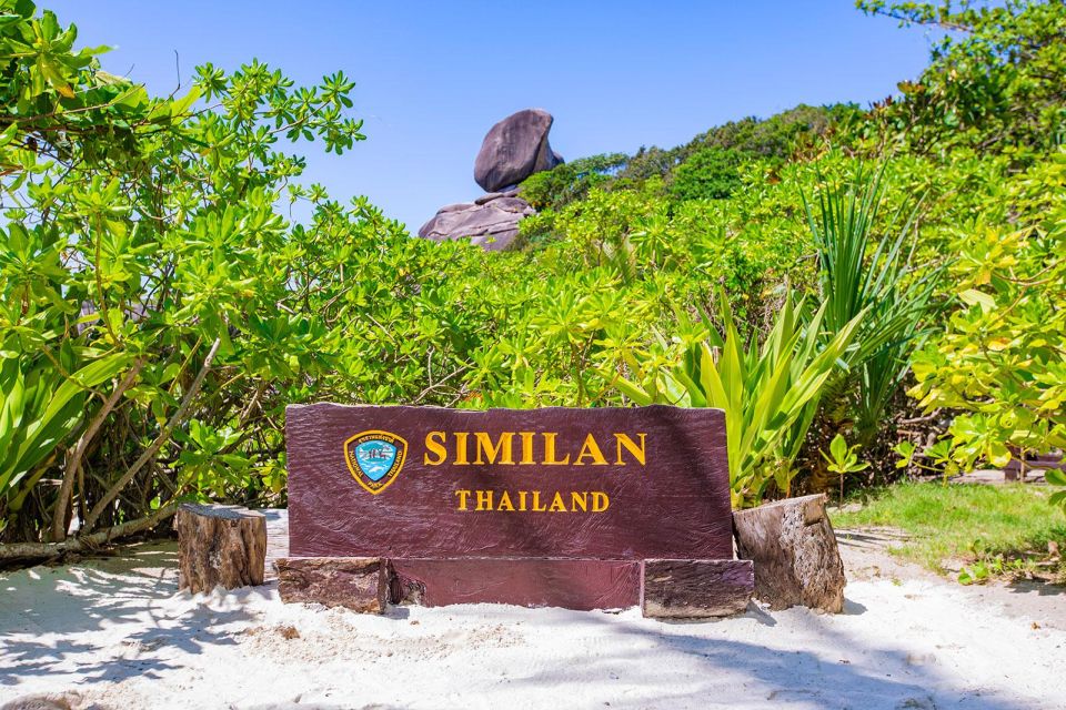 From Khao Lak: Similan Islands Snorkeling Trip With Lunch