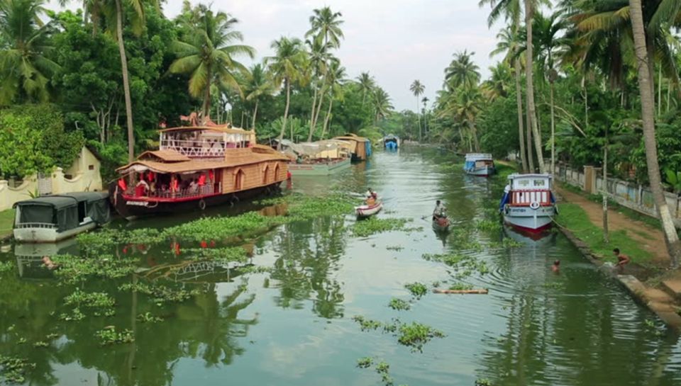 From Kochi: 7-Day Kerala Tour Package With Accommodation