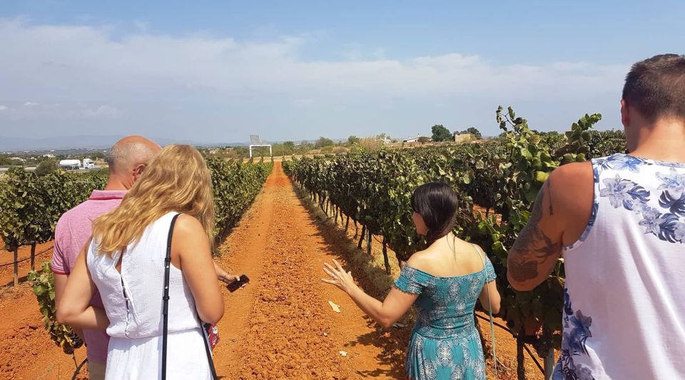 From Lagos: Private Algarve Wineries Tour With Tastings