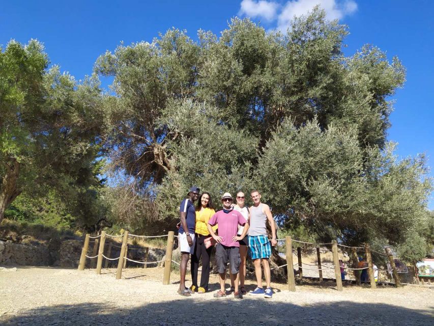 From Lasithi Area: Richtis Gorge Experience