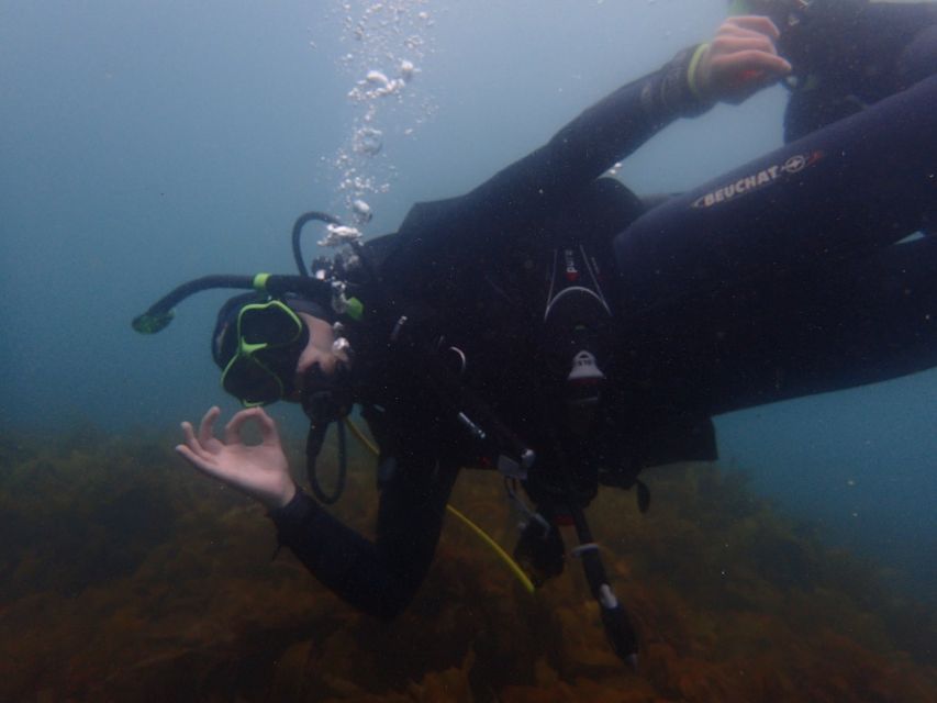 From Leigh: Goat Island Try Scuba Diving Experience