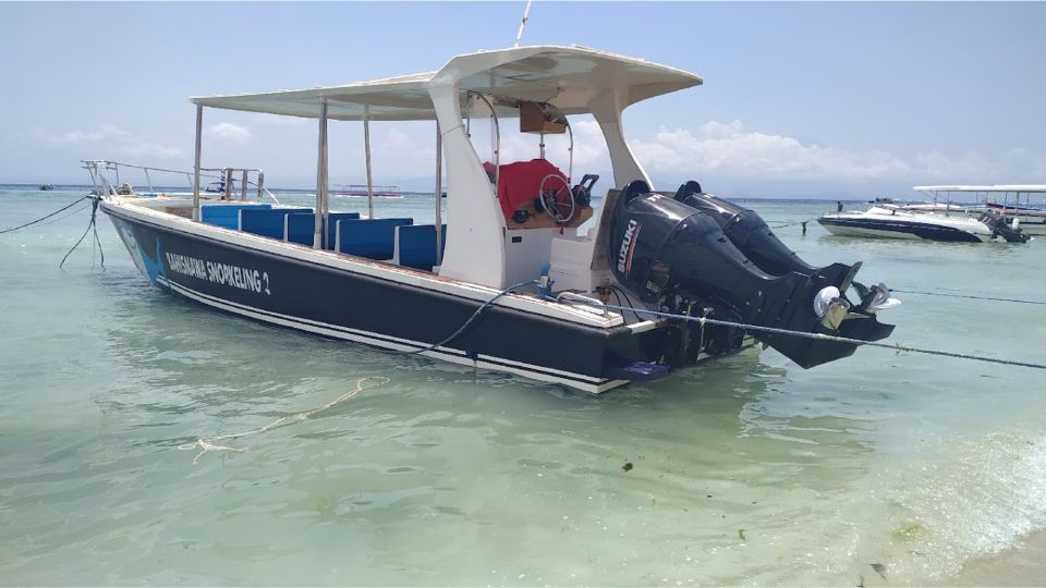 From Lembongan: Snorkeling at Manta Bay, Gamat & Crystal Bay