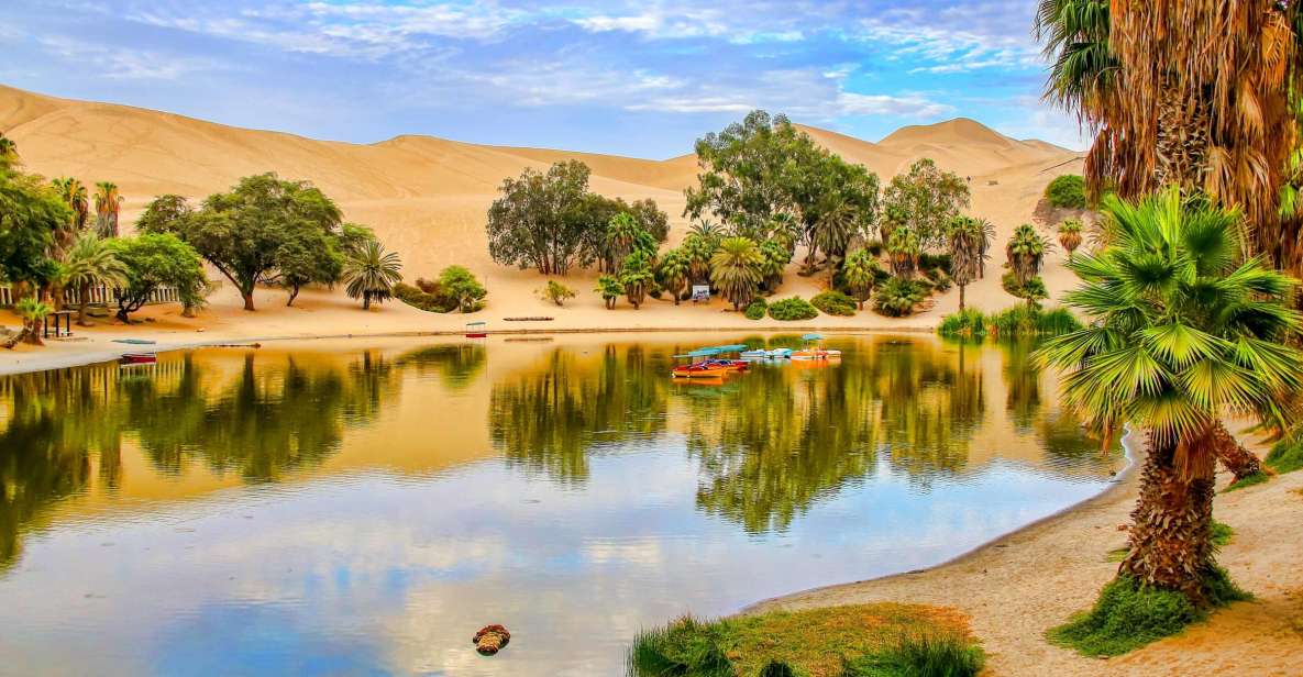 From Lima: Ballestas Island & Huacachina Oasis Private Tour