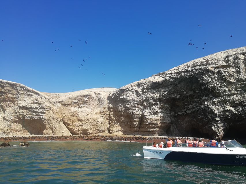 From Lima: Ballestas Islands & Paracas Reserve With Meals