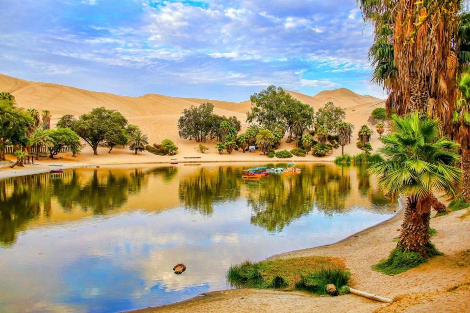 From Lima: Paracas and Huacachina Guided Desert Oasis Trip